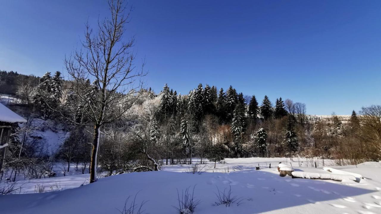 Wies Odnowa Labowa Luaran gambar